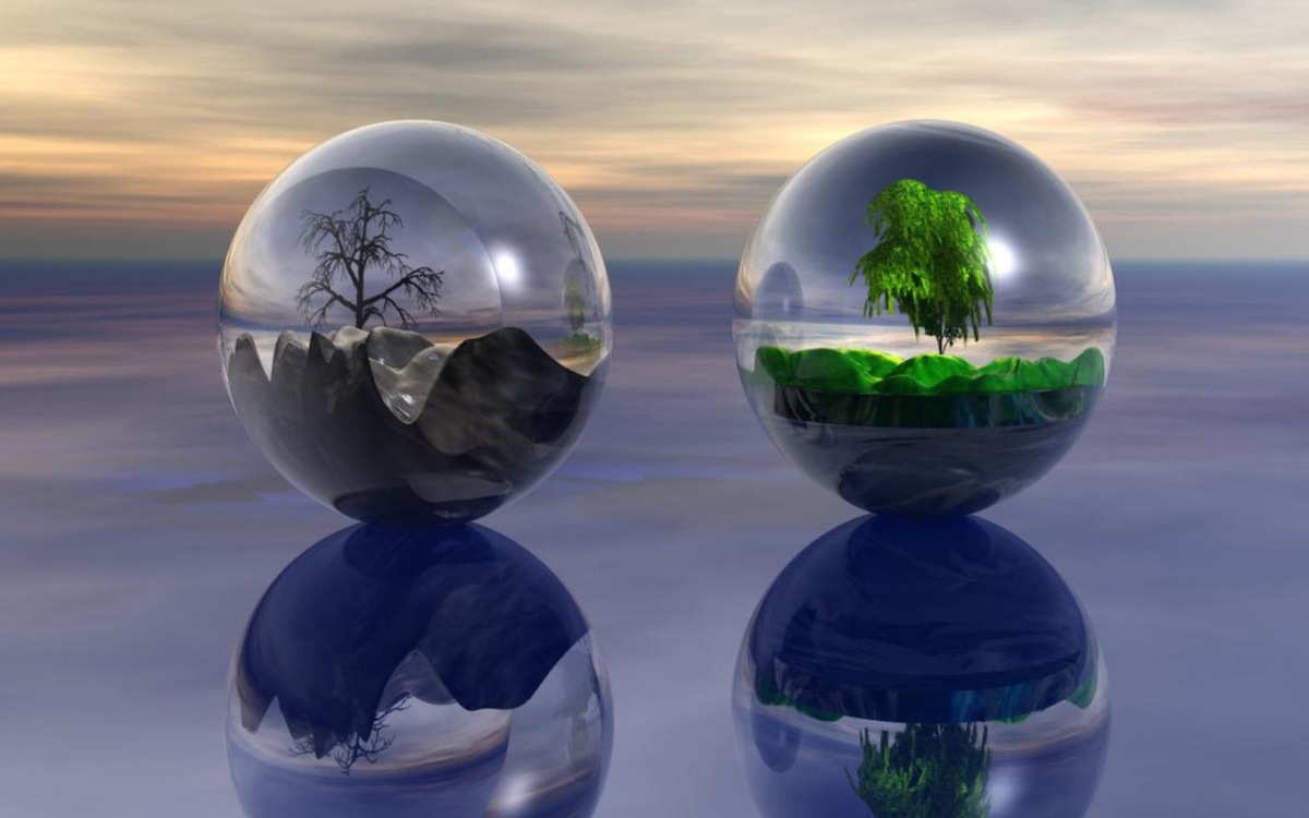 фото из интернета