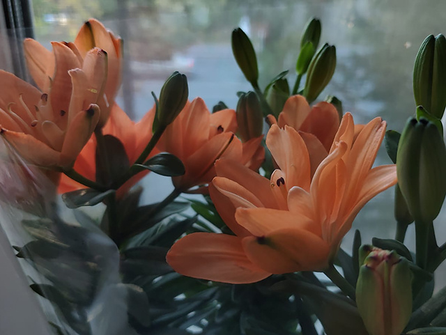 В Твери отмечает 102-летие женщина с удивительной судьбой