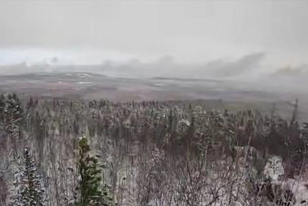    Поиск семьи Усольцевых Фото: «Лиза Алерт»