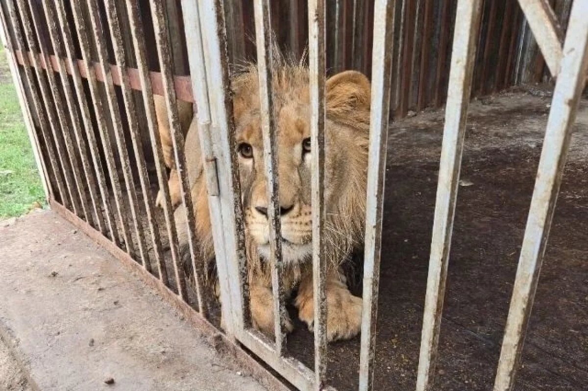   Жил не по-царски.