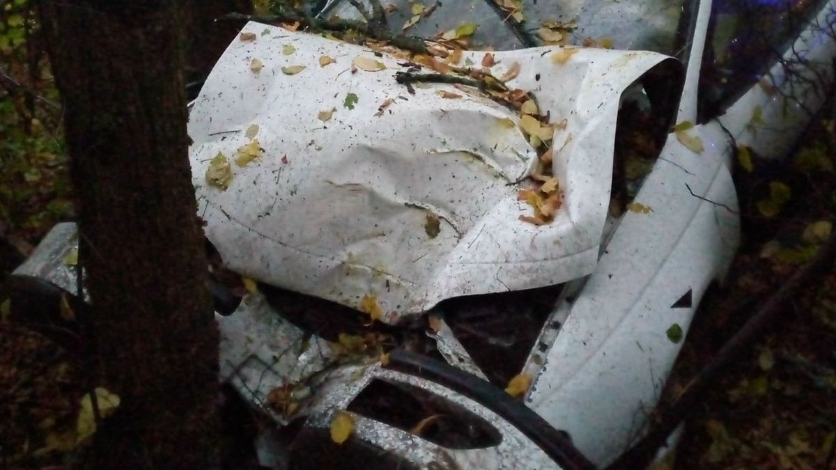    Машина съехала в кювет в Курской области