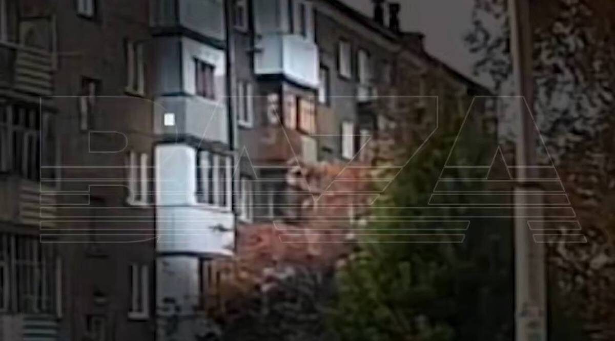    Фото: скриншот с видео / Baza / Telegram