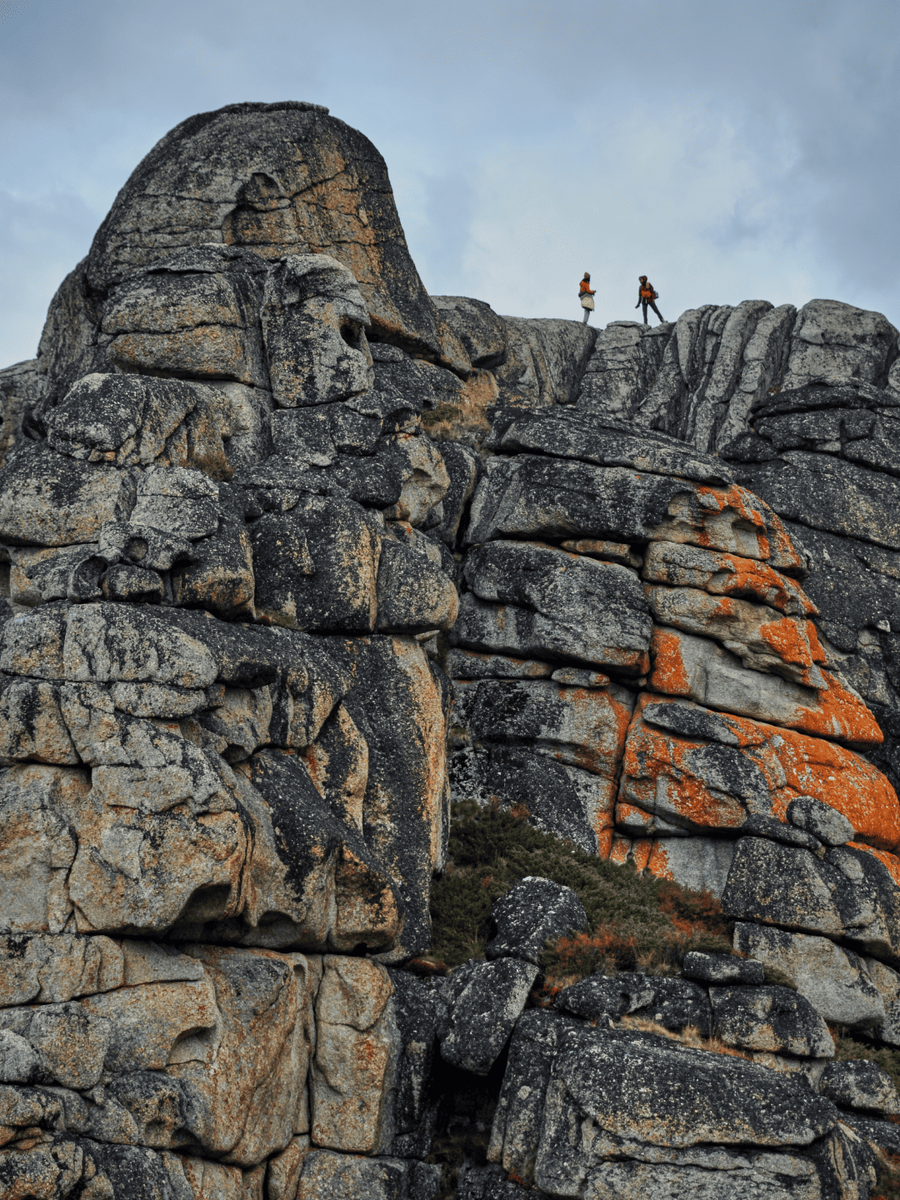 Масштаб Чокпартаса 