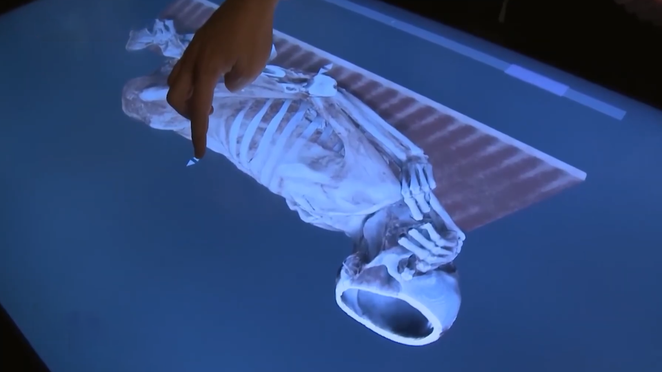 ФОТО: Кадр из программы "Тайны Чапман", РЕН ТВ