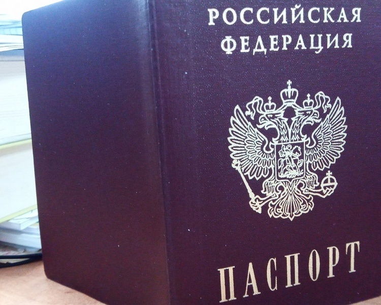     Куряне, вернувшиеся из украинского плена, получили паспорта взамен утраченных