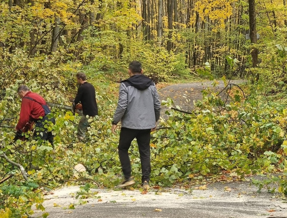   фото администрации Олимпика