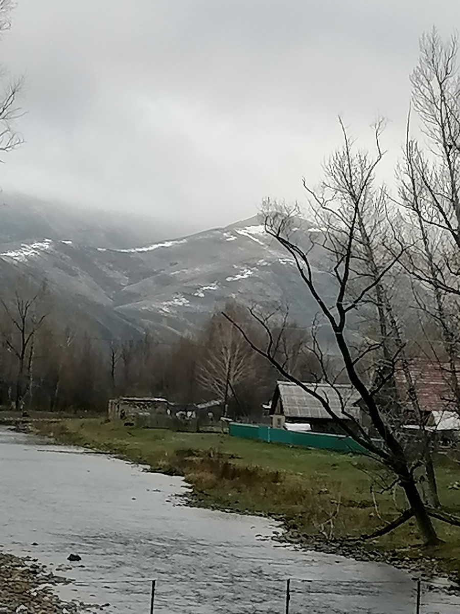 Так же мрачно и туманно для меня пока введение ИИ в образовательный процесс. 