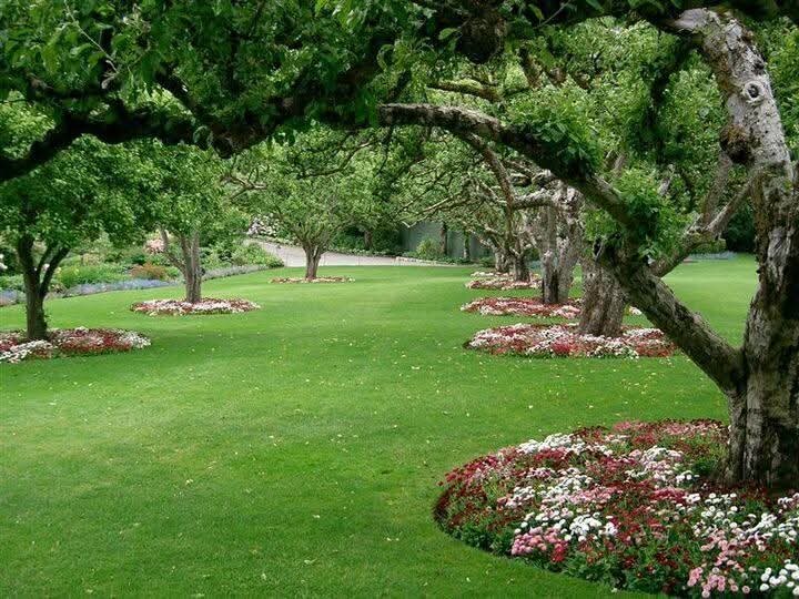 Подготовка сада к зиме