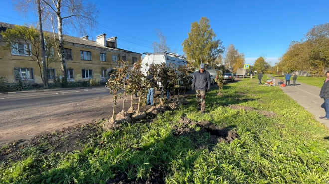Фото: администрация Гатчинского округа Ленобласти