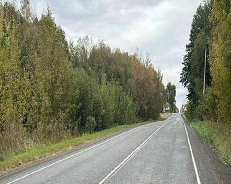     В Обоянском районе Курской области отремонтировали 4,7 км автодороги