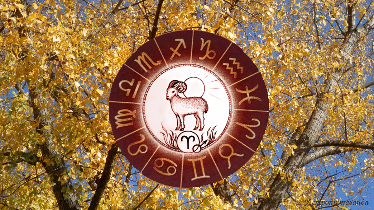 Гороскоп для Овна с 6 октября по 2 ноября 2025.