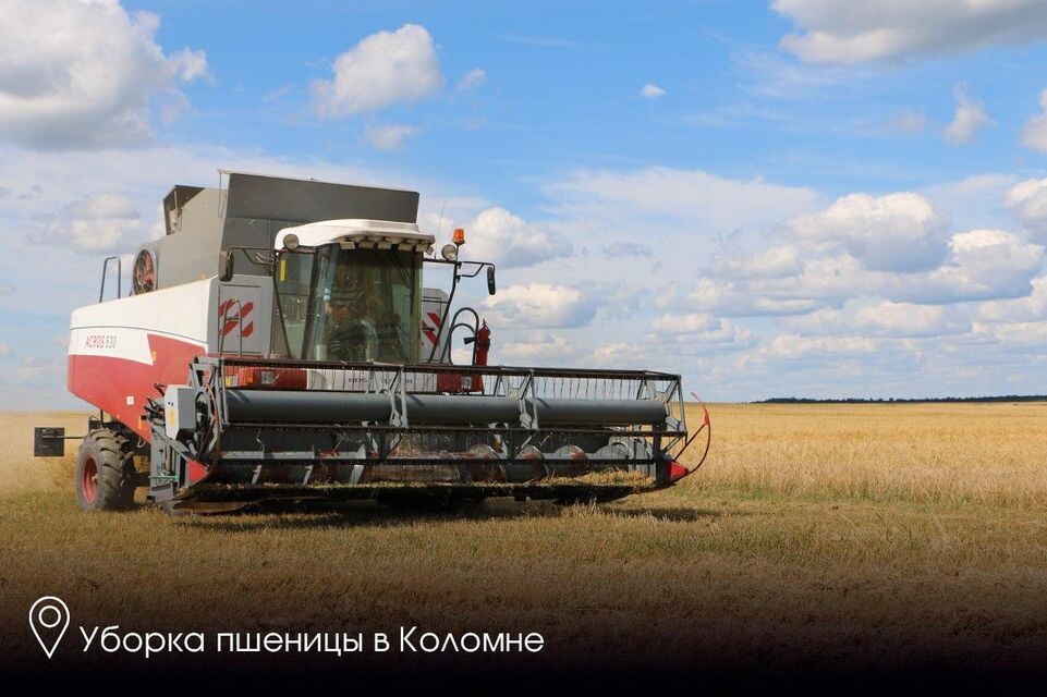     Пресс-служба губернатора Московской области