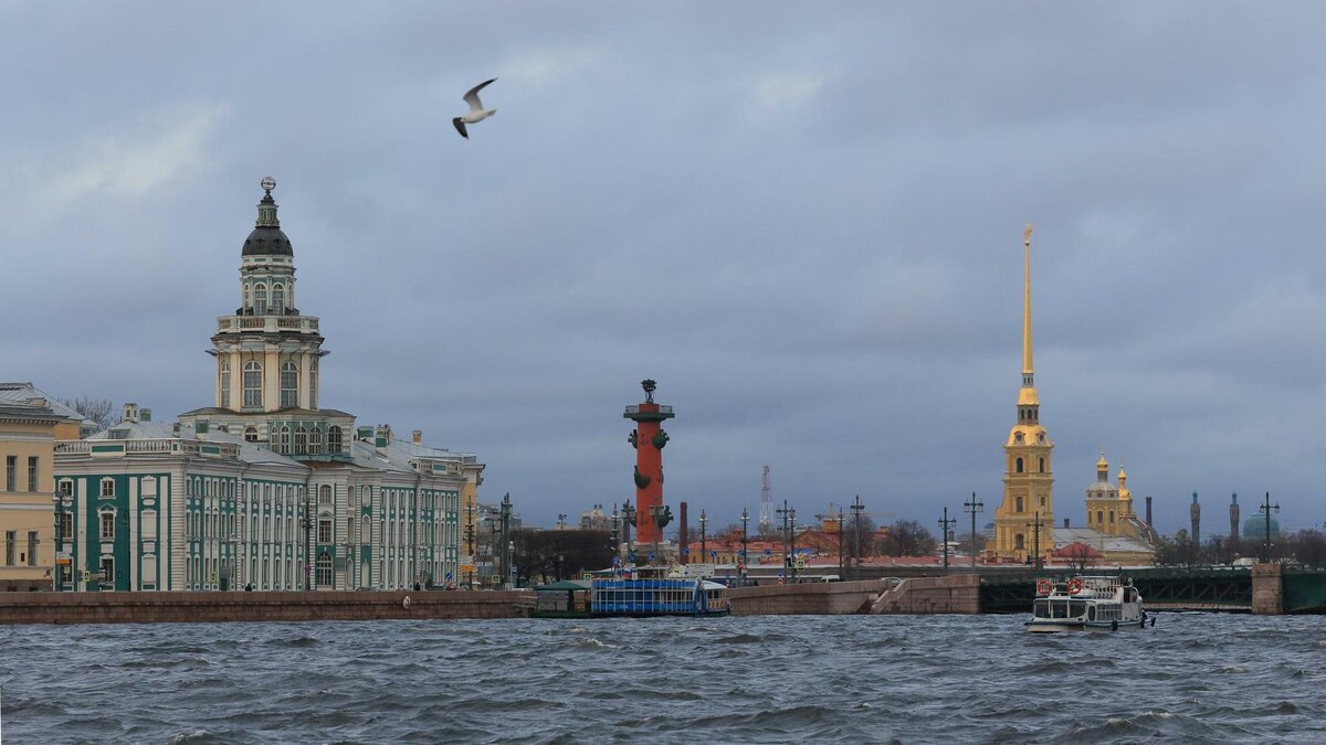    Фото: Zamir Usmanov/globallookpress.com