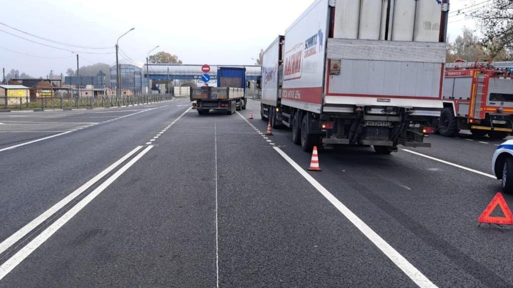    Фото: t.me/spb_police78