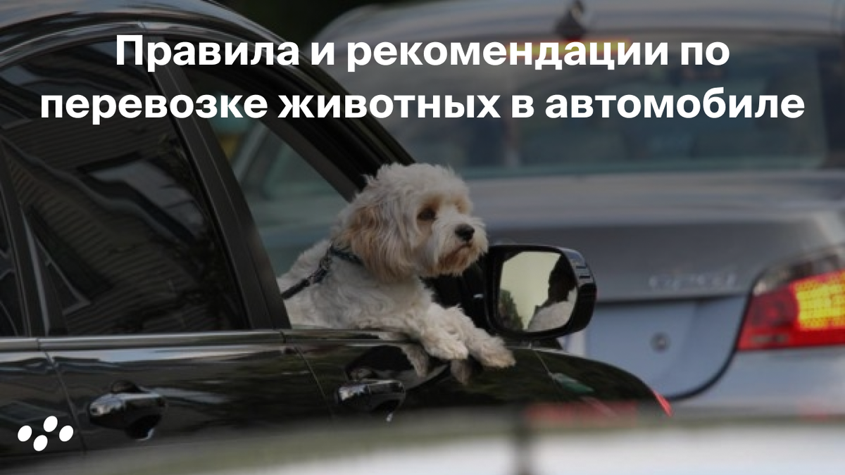 Источник: лизинговая компания CARCADE