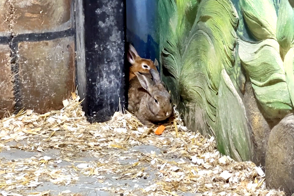    ©АО "ТВ Центр"