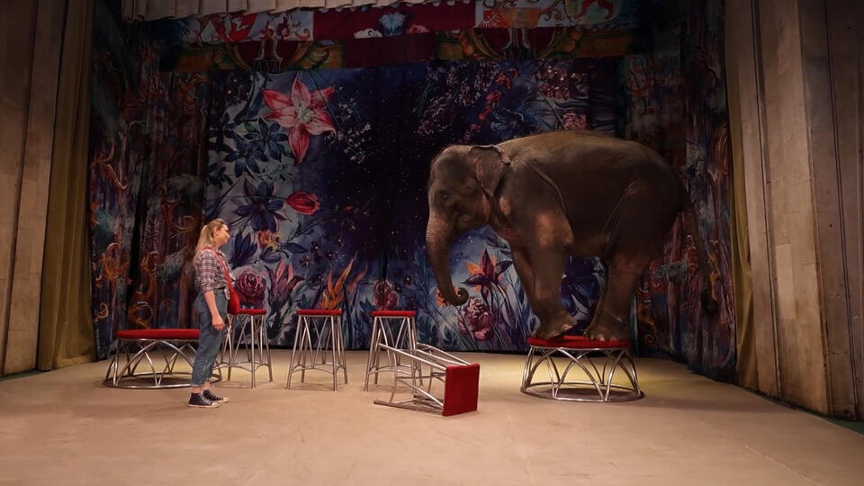 ФОТО: Кадр из программы "Невероятно интересные истории", РЕН ТВ