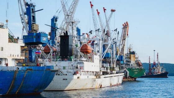     Фото: Владивостокский морской рыбный порт