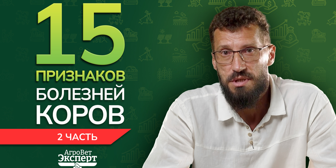 15 признаков болезней коров. Часть 2