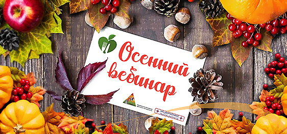 Национальное общество содействия развитию диетологии (НОД) https://nadn.ru/nod.php