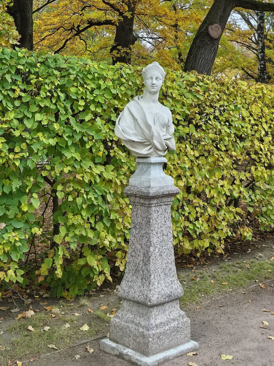 Все созерцают