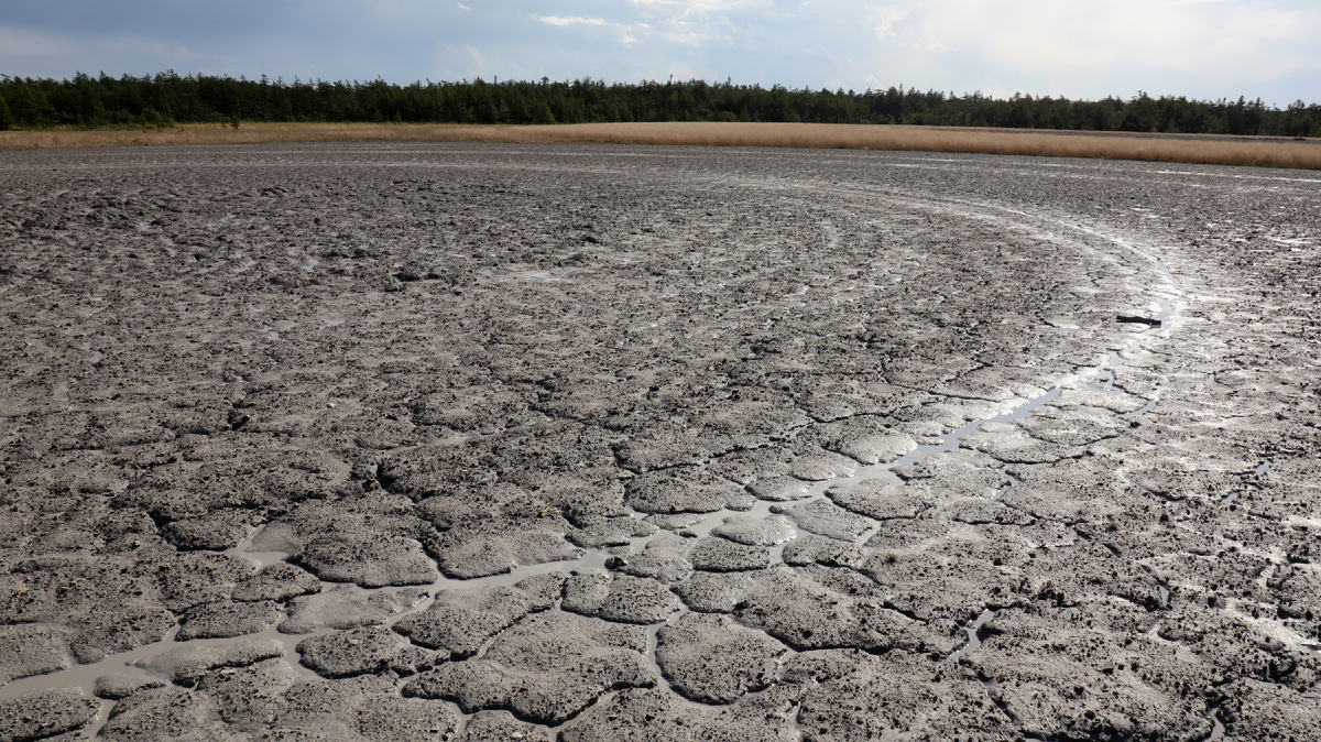 Это не круги инопланетного происхождения, а уникальное природное явление - грязевой вулкан. Фото автора.