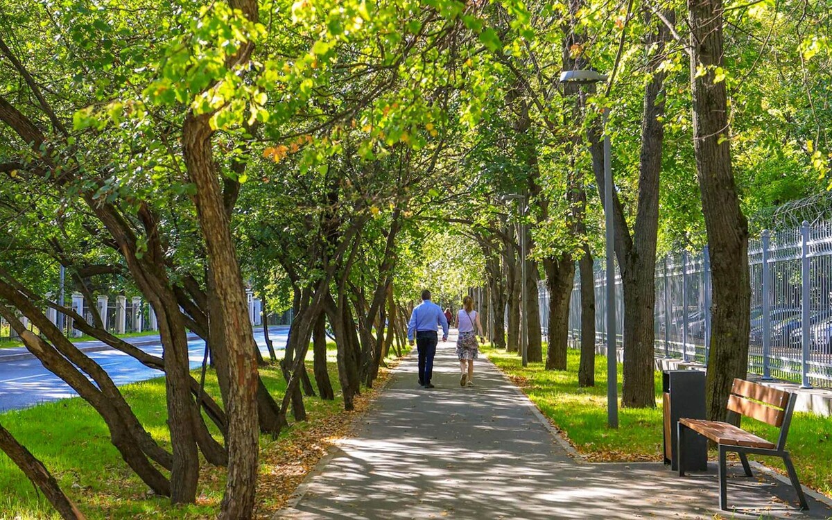    Территорию у станции Останкино МЦД-3 успешно благоустроили