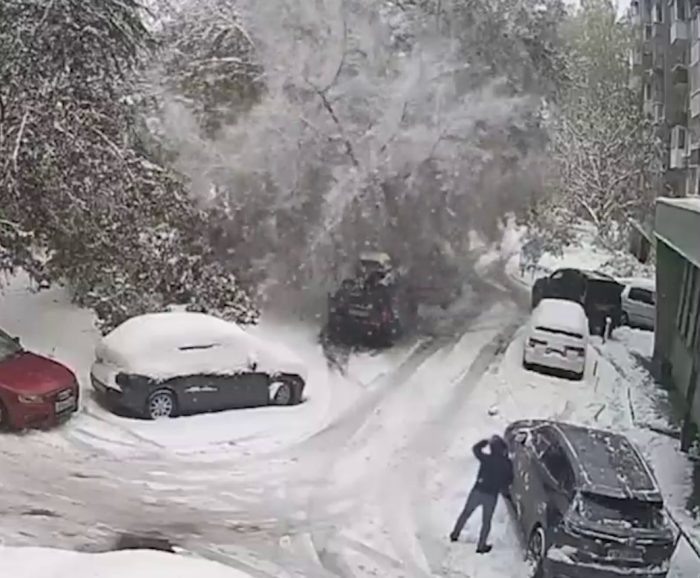 Кадр видео из соцстетей.