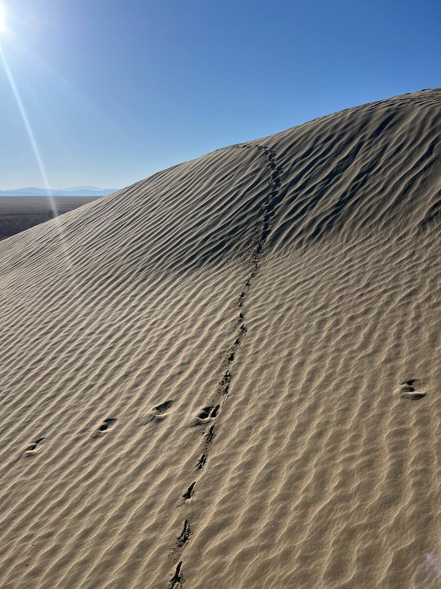 золотая подкова аргады и ее песчаная дюна