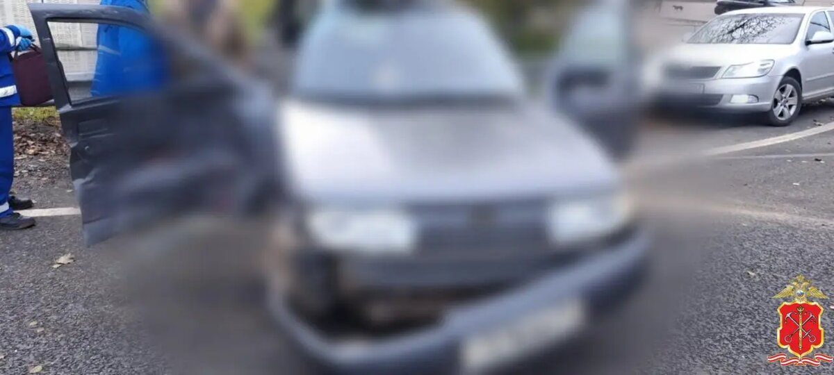    Фото: пресс-служба ГУ МВД по Петербургу и Ленобласти