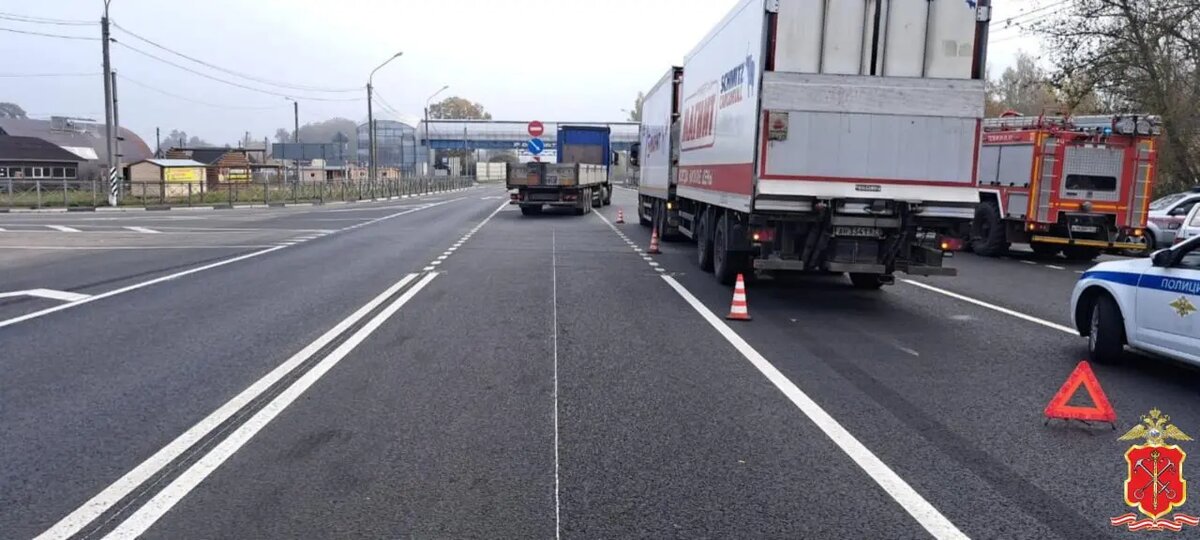    Фото: пресс-служба ГУ МВД по Петербургу и Ленобласти