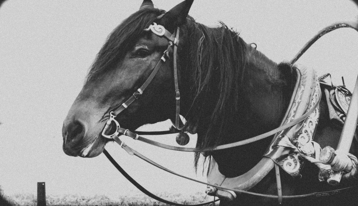 Не туринская лошадь, суздальская.