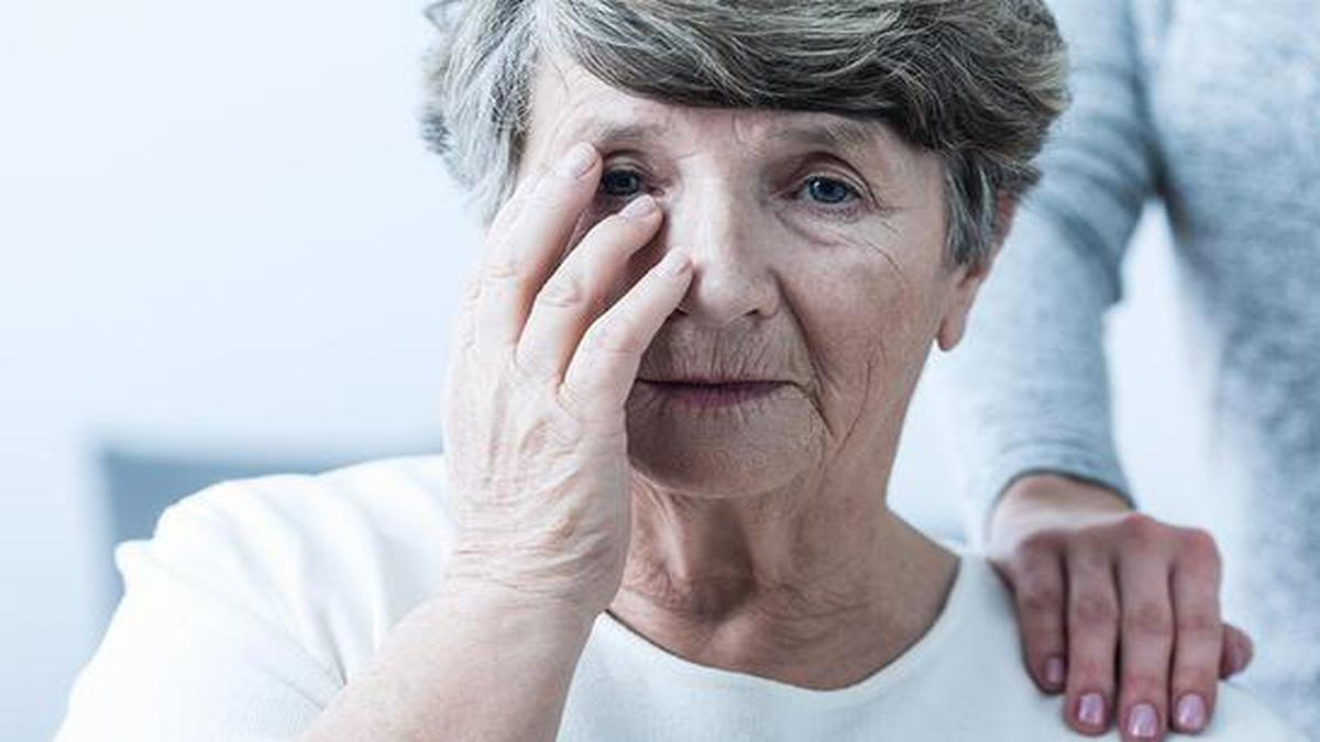 Фото: www.thehindu.com 