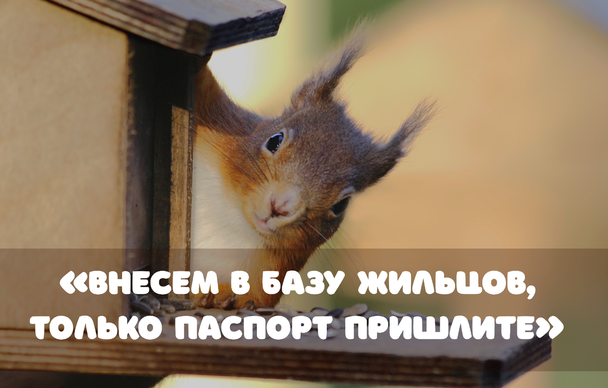 Фото: David Benton / Shutterstock