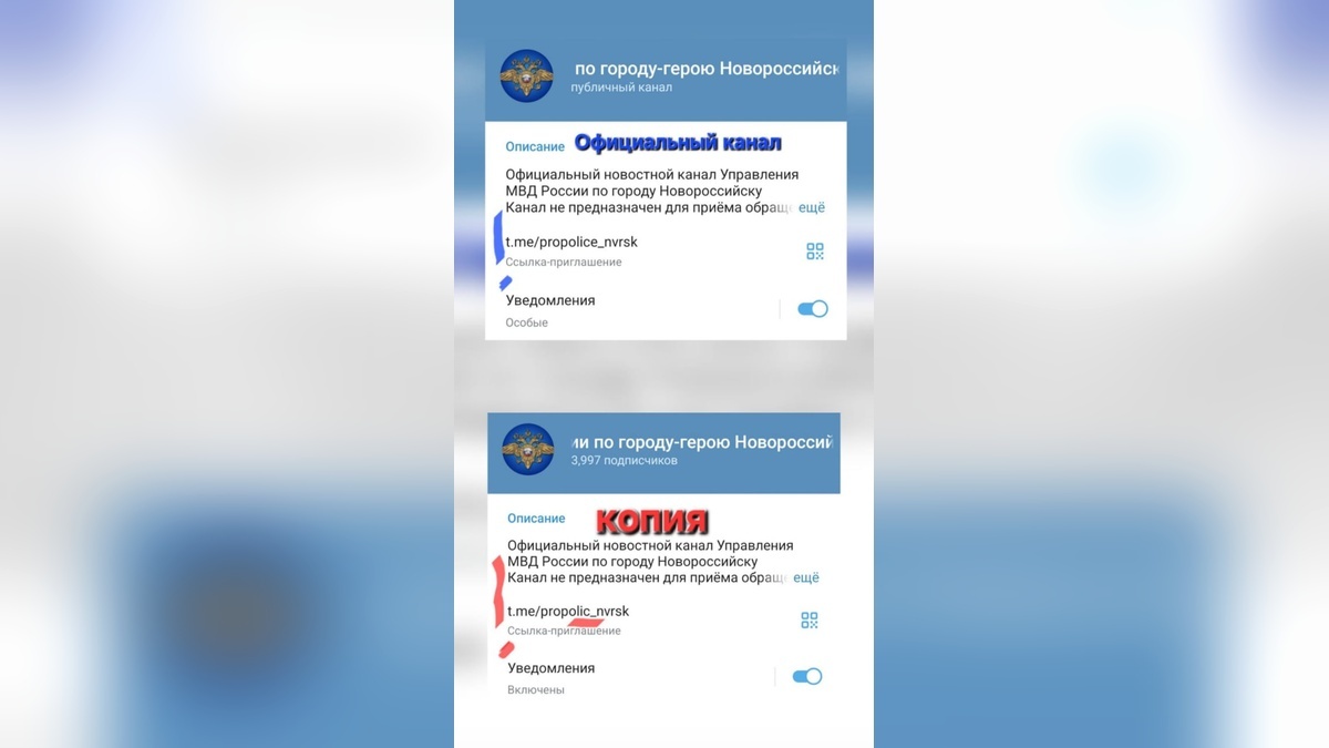    Фото t.me/mvd_23