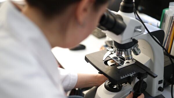    © Sputnik / Виталий Тимкив