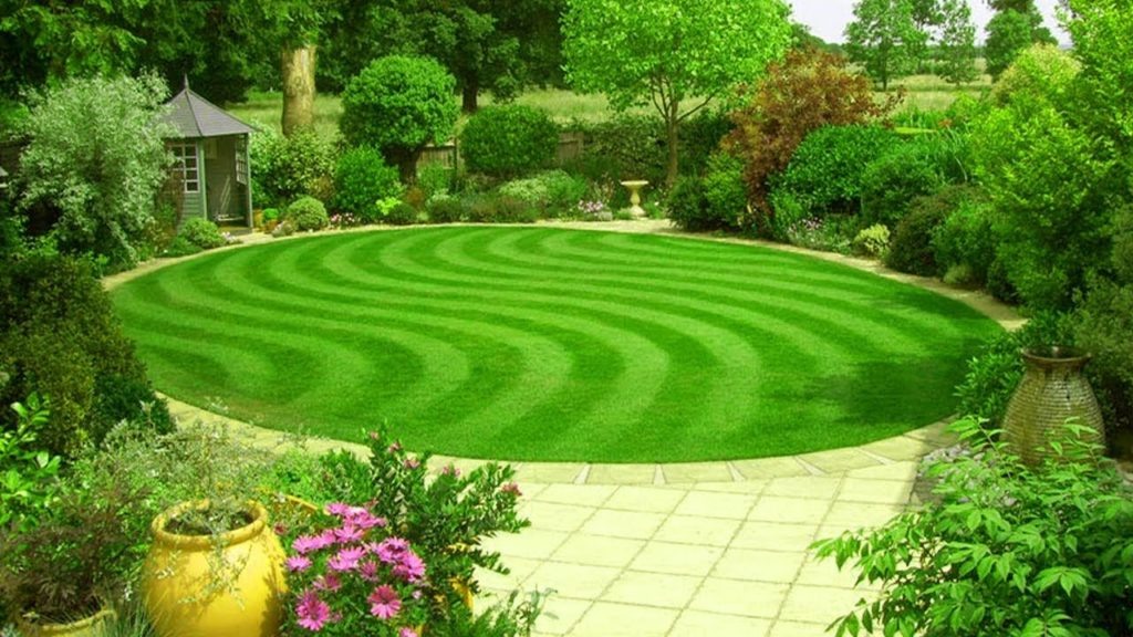 Идеальный английский газон