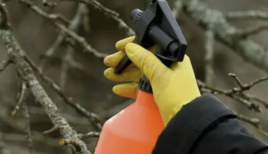 🌿 Биопрепараты нового поколения для обработки сада осенью: боремся с болезнями и укрепляем иммунитет растений без химии