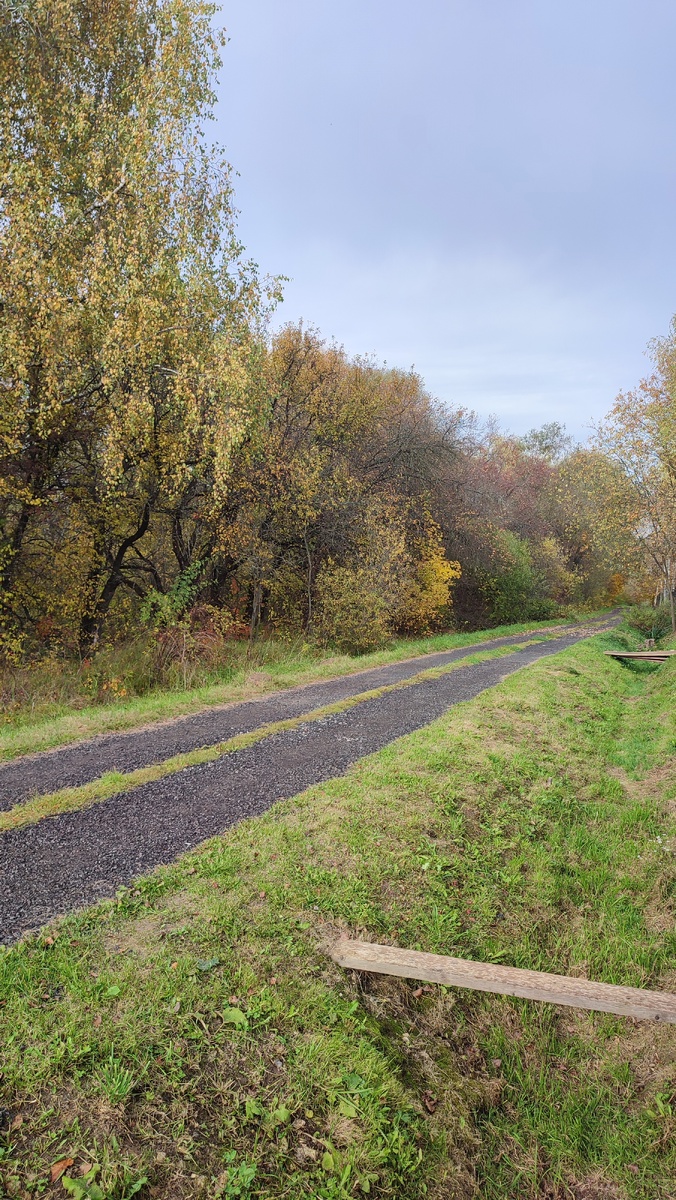 За моим забором