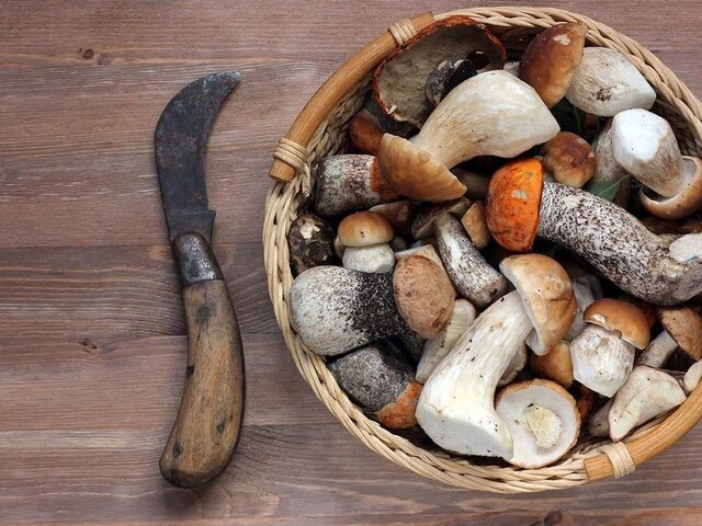    Фото: depositphotos/BalaguR