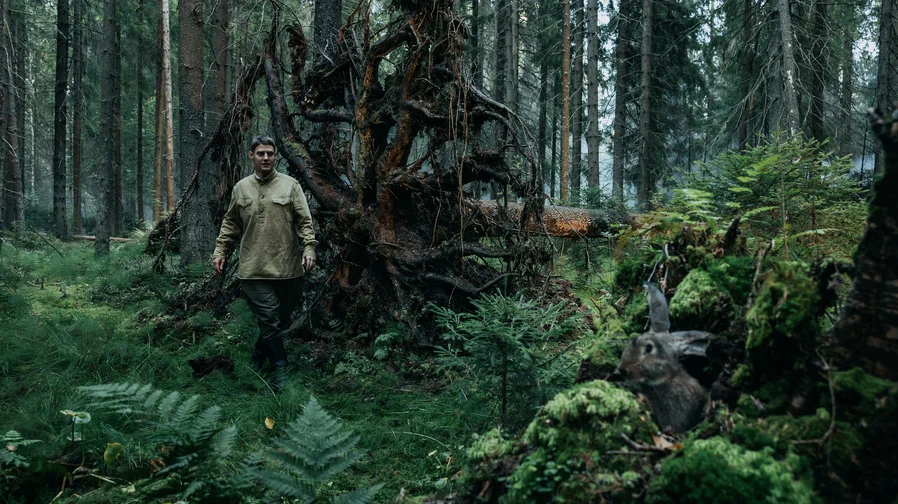 Прекрасный лес