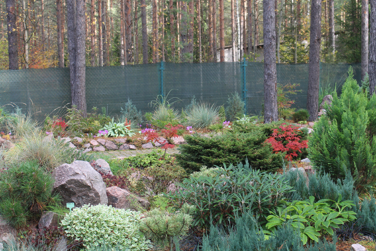 Наш сад в октябре