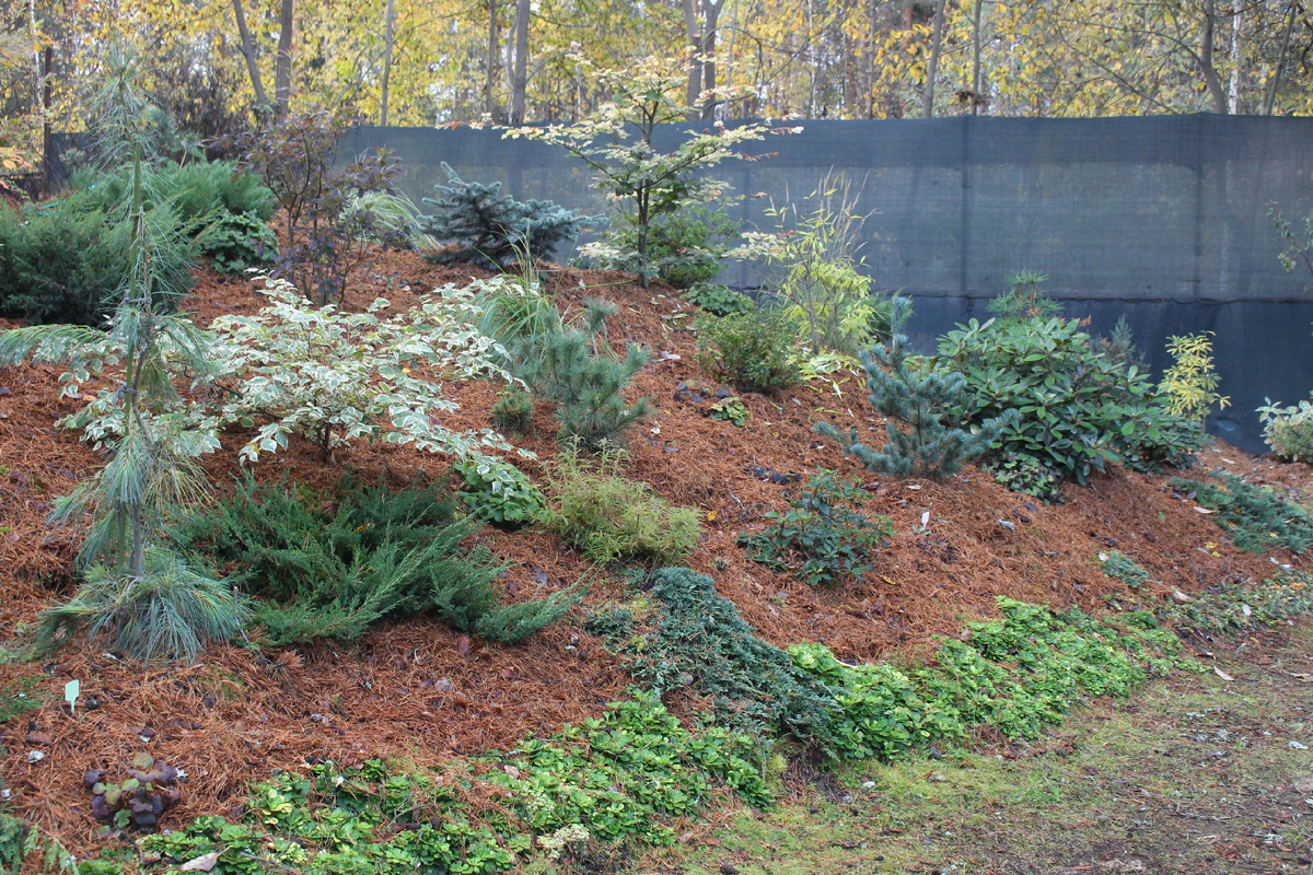 Наш сад в октябре