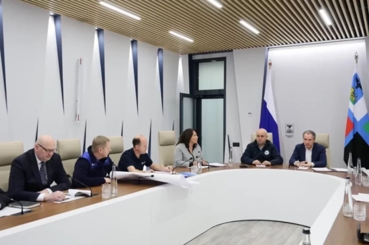    Минэнерго и ФАС проконтролируют цены на бензин на белгородских заправках