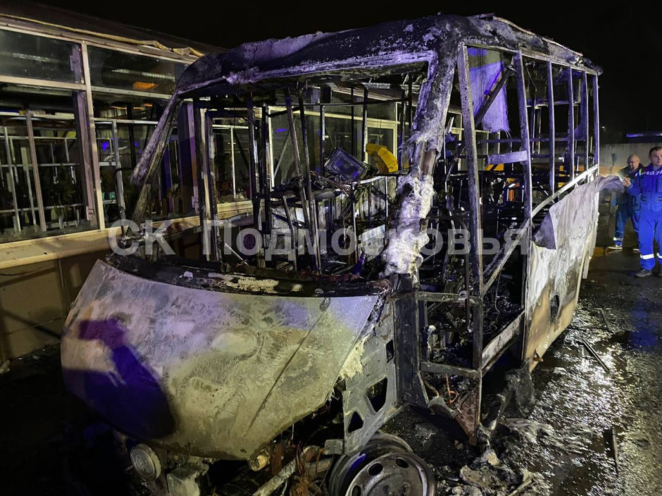    Фото: управление СК РФ по Московской области