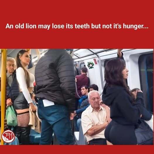 Старый лев может потерять зубы, но он не теряет аппетит (на фото два "льва")