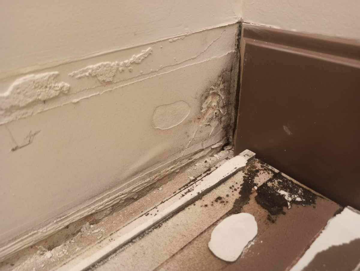 И не только на плинтусе