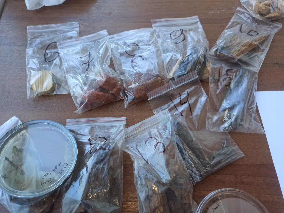 А вот так - образцы перед посадкой на чашки Петри. Все тщательно рассортировано и подписано