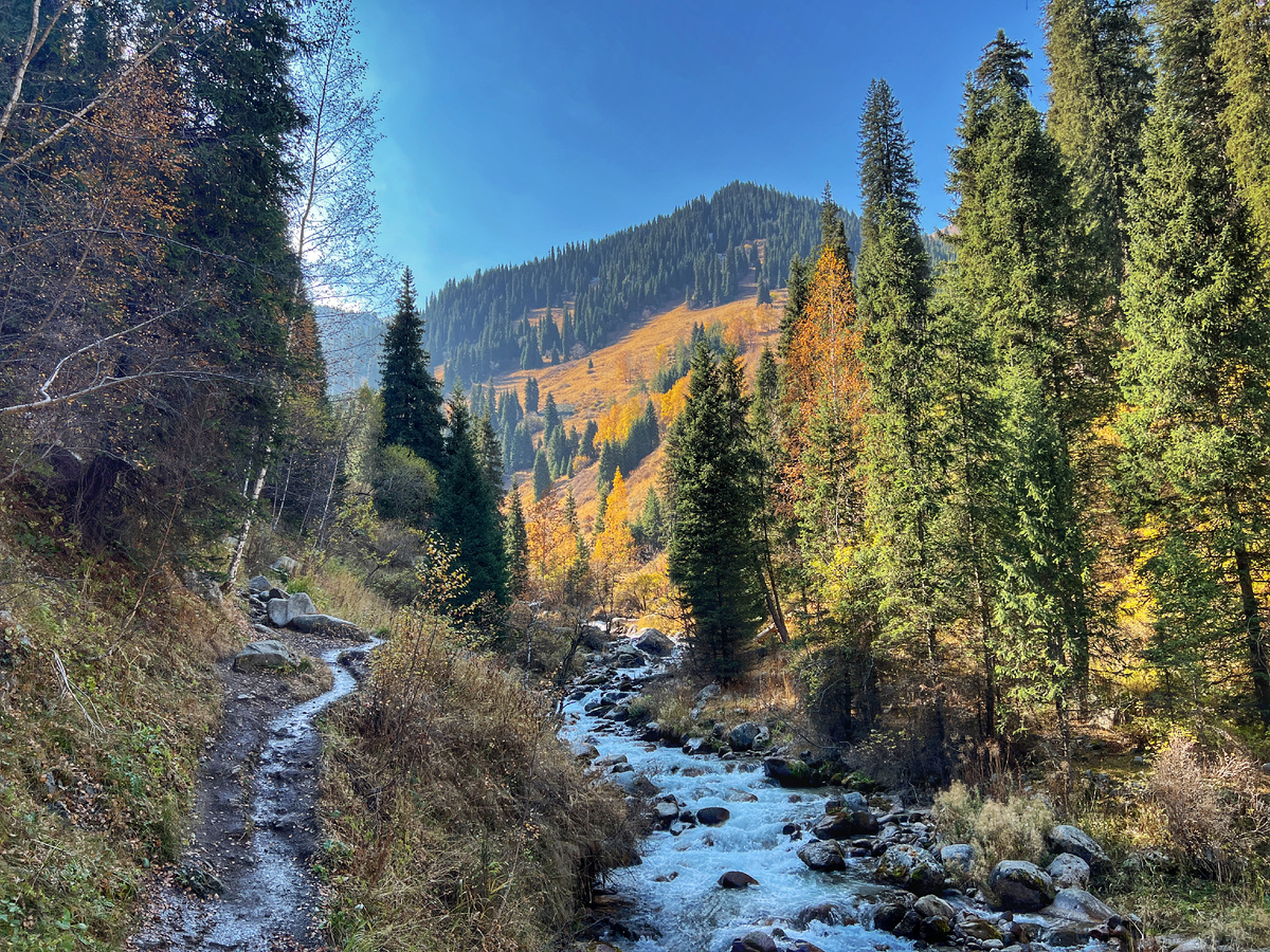 Проходное ущелье, Алма-Ата, Казахстан. Фото автора 