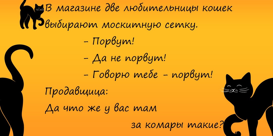 Без кота и жизнь не та: подборка анекдотов про котов и кошек